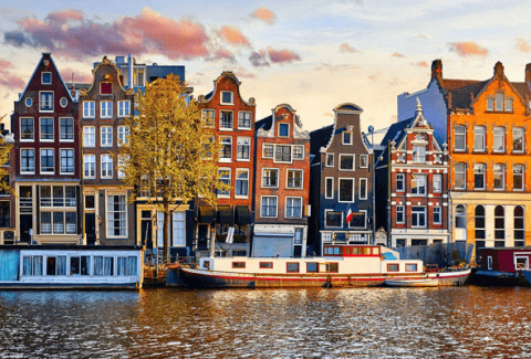 Why The Netherlands Is The Perfect Country To Study Abroad